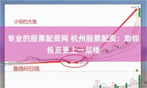 专业的股票配资网 杭州股票配资：助你投资更上一层楼