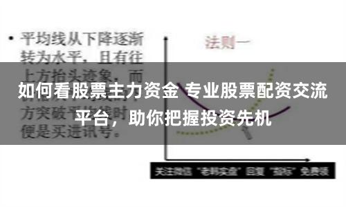 如何看股票主力资金 专业股票配资交流平台，助你把握投资先机