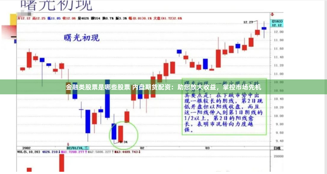 金融类股票是哪些股票 内盘期货配资：助您放大收益，掌控市场先机